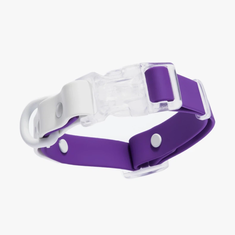 नाम के साथ वाटरप्रूफ डॉग कॉलर